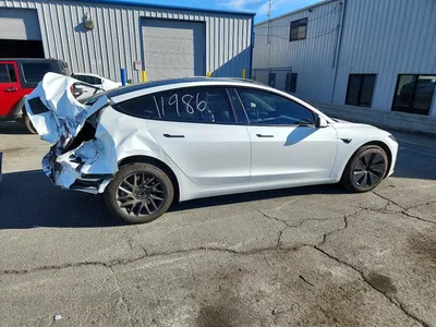 2024 TESLA MODEL 3, фото 3, лот 10856334