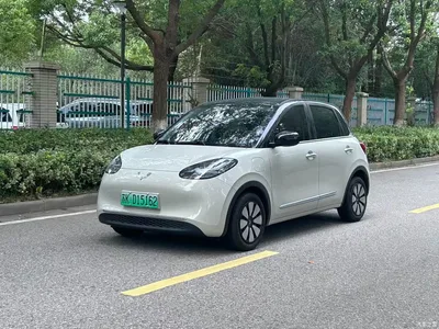 2024 Wuling Motors Wuling Bingo 333km Smart Connect Edition, фото 1, лот 10453427