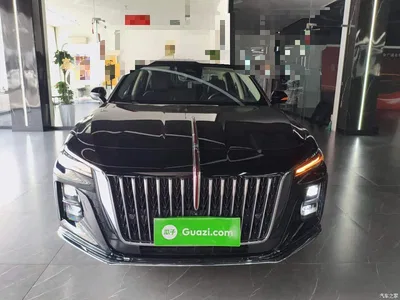 2023 Hongqi H5 2.0T Auto Smart Connect Flag Comfort, фото 3, лот 10837600