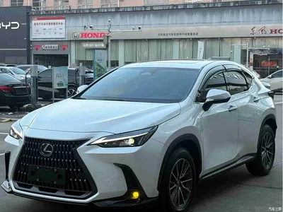 2023 Lexus NX 350h FWD Joy Creation Edition, фото 3, лот 10442243