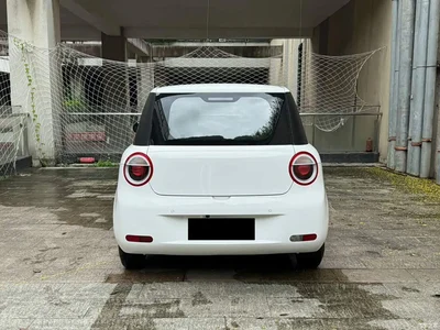 2024 Changan Qiyuan Changan Lumin 301km Orange Wind Edition, фото 4, лот 10407746