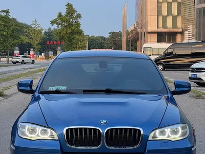2013 BMW X6 M, фото 2, лот 10238994