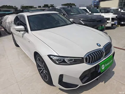 2023 BMW 3 Series 320Li M Sport Package, фото 4, лот 10457515