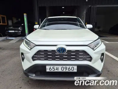 2019 Toyota RAV4 2,5 4WD Hybrid LTD, фото 2, лот 10034959