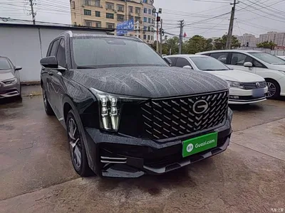 2025 GAC Trumpchi Trumpchi GS8 Pilot Series 2.0TGDI 2WD Luxury Edition 5-seater, фото 4, лот 11067499