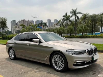 2020 BMW 5 Series New Energy 530Le Range Upgrade Luxury Package, фото 3, лот 10893753