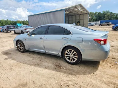 2010 LEXUS ES 350, фото 2, лот 10848507