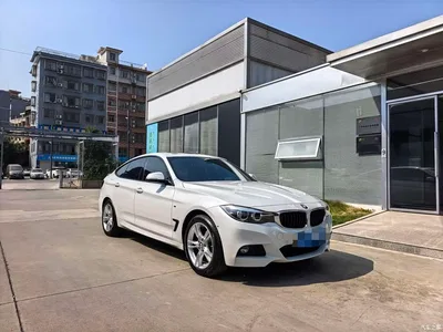 2018 BMW 3 Series GT 320i M Sport, фото 3, лот 10473724