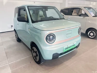 2023 Geely Galaxy Panda Mini New Year Edition - Treasure Bear, фото 3, лот 10431010