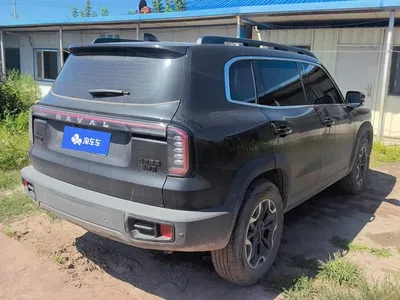 2024 Haval Big Dog 2.0T DCT Chinese Rural Dog Edition, фото 3, лот 10615544