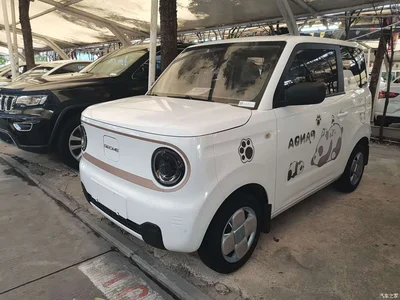 2024 Geely Galaxy Panda mini 200km Endurance Bear, фото 1, лот 10431328