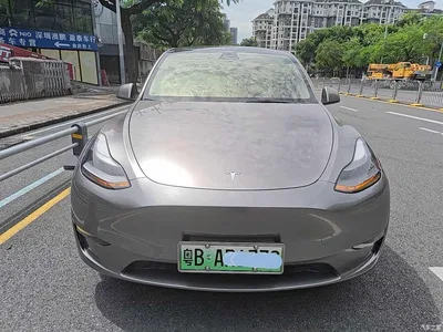 2021 Tesla Model Y Standard Range Rear-Wheel Drive, фото 2, лот 11476103