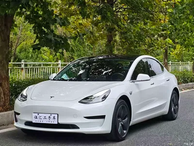 2020 Tesla Model 3 Standard Range Rear-Wheel Drive Upgrade, фото 1, лот 10368670