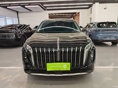 2024 Hongqi HS7 PHEV 2.0T PHEV 4WD Flagship Edition 6-seater, фото 3, лот 10765347