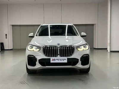 2021 BMW X5 (Import) xDrive40i M Sport Package, фото 3, лот 10463921