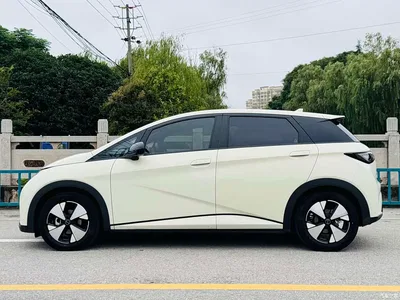 2023 BYD Dolphin 420km Fashion Edition, фото 4, лот 10254798