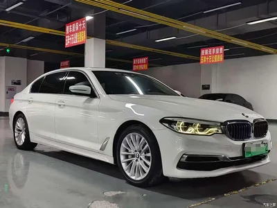 2020 BMW 5 Series New Energy 530Le Range Upgrade Pioneer Edition, фото 3, лот 10474128