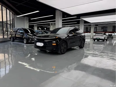 2024 Li Auto L6 Pro, фото 1, лот 10780463