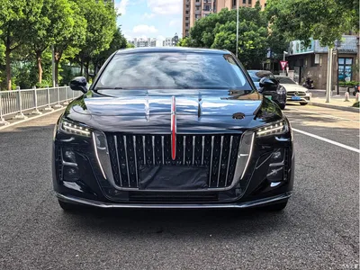 2024 Hongqi H5 2.0T Automatic Smart Connect Flag Smooth Edition, фото 2, лот 10285513