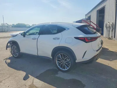 2026 LEXUS NX 350H PREMIUM, фото 2, лот 10899977