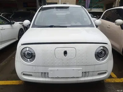 2019 Ora Black Cat Model 351km Smart Intelligence Edition, фото 3, лот 10447795