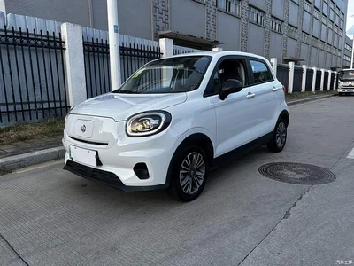 2024 Leapmotor T03 310 Comfort Edition, фото 2, лот 10441930