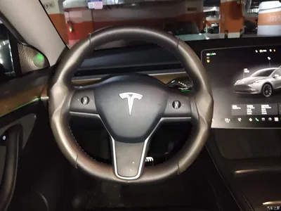 2022 Tesla Model Y Rear-Wheel Drive Version, фото 3, лот 11395622