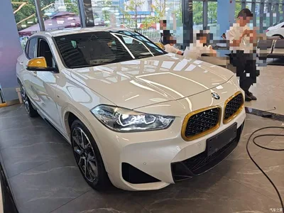 2023 BMW X2 sDrive 25i Radiance Edition, фото 4, лот 10334870