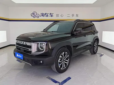 2024 Haval Big Dog 1.5T DCT Border Collie Edition, фото 1, лот 10361810
