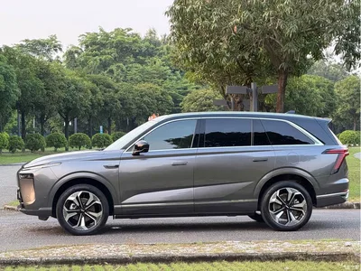 2023 WEY Lanshan AWD Ultra Long Range Edition, фото 4, лот 10451292