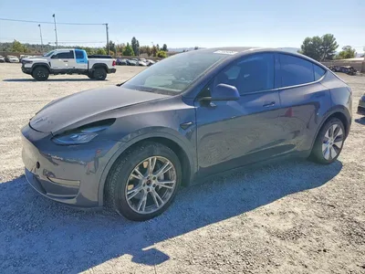 2020 TESLA MODEL Y, фото 1, лот 10856142