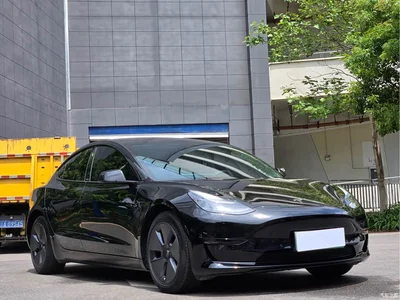 2022 Tesla Model 3 Model Rear-Wheel Drive Version, фото 3, лот 10346206