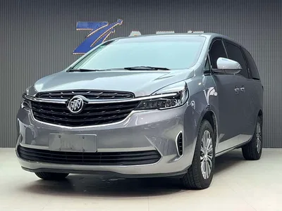 2021 Buick GL8 Land Business Class 652T Comfort, фото 1, лот 10249735