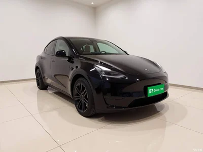 2022 Tesla Model Y Rear-Wheel Drive Version, фото 3, лот 10889288