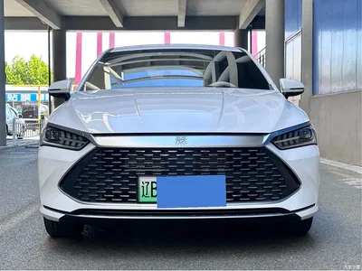 2024 BYD Qin PLUS Glory Edition DM-i 55KM Leading, фото 2, лот 10357515