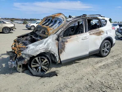 2017 TOYOTA RAV4 XLE, фото 1, лот 11185673