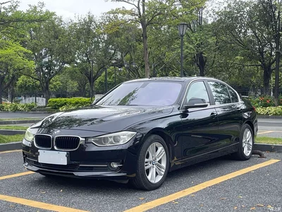 2015 BMW 3 Series 320Li Super Joy Fashion, фото 1, лот 11140558