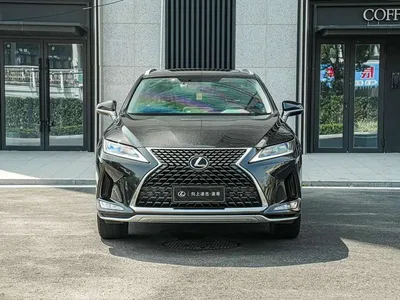 2020 Lexus RX 300 2WD Elite Edition China VI, фото 2, лот 11190788