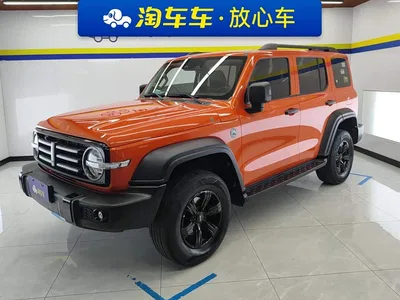 2021 Tank 300 Off-road Version 2.0T Conqueror, фото 1, лот 10346216