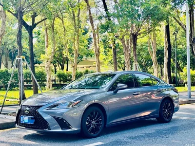 2020 Lexus ES Model 260 Excellence Edition, фото 1, лот 11518689