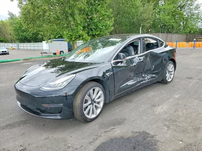 2019 TESLA MODEL 3, фото 1, лот 10851774