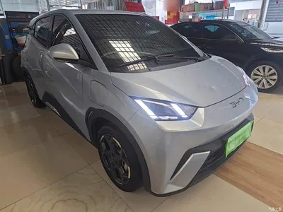 2024 BYD Seagull Glory Edition 405km Soaring Edition, фото 4, лот 10260873