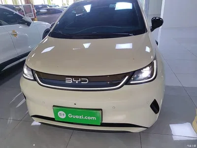 2025 BYD Dolphin Smart Drive Edition 410km Fashion Version, фото 3, лот 10259481