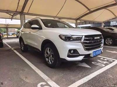2021 Haval H6 Model National Trend Edition 1.5T Auto Champion, фото 3, лот 10301293