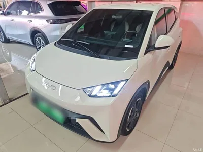 2024 BYD Seagull Glory Edition 305km Freedom Edition, фото 2, лот 10263082