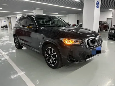 2022 BMW X3 xDrive25i M Sport Package, фото 3, лот 10460948