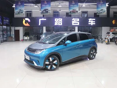 2023 BYD Dolphin 401km Knight Edition, фото 2, лот 10257734