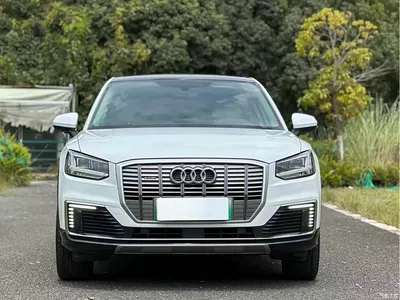 2019 Audi Q2L e-tron Pure Electric Smart Cool Edition, фото 2, лот 10239362