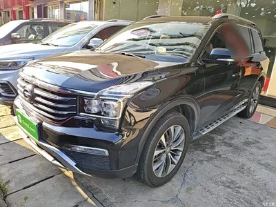 2017 GAC Trumpchi Trumpchi GS8 320T 2WD Luxury Smart Connect (7-seater), фото 1, лот 10385460