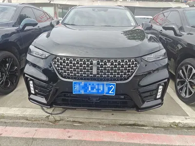 2021 WEY VV7 Model 2.0T Technology Edition, фото 2, лот 11450391